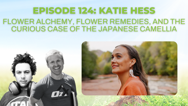 Episode 124: Katie Hess on flower alchemy, flower remedies, and the curious case of the Japanese Camellia